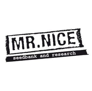 Stones 18ks regulérních semen Mr. Nice