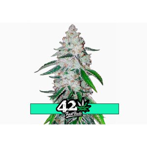 West Coast O.G. Auto - samonakvétací semena marihuany 3 ks Fast Buds