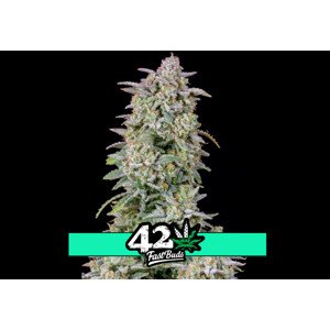 Forbidden Runtz Auto - samonakvétací semena marihuany 5 ks Fast Buds