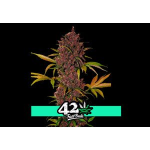 LSD-25 Auto - samonakvétací semena marihuany 5 ks Fast Buds