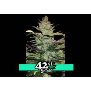 Green Crack Auto - samonakvétací semena marihuany 3 ks Fast Buds