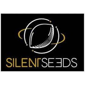 Original Amnesia - feminizovaná semena 3 ks, Silent Seeds