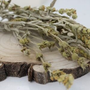 Mursalský čaj, Hojník horský -  - nať - Sideritis scardica - Herba sideritis scardica 250 g